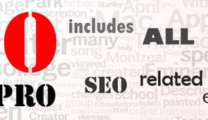 Hướng dẫn Fix lỗi Tiếng Việt cho Opencart SEO Pack Pro